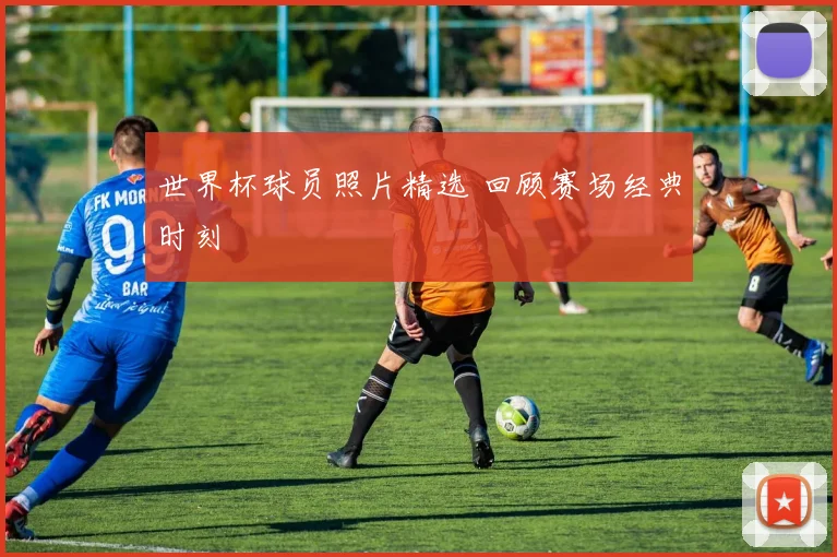 世界杯球员照片精选 回顾赛场经典时刻