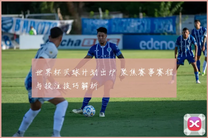 世界杯买球计划出炉 聚焦赛事赛程与投注技巧解析