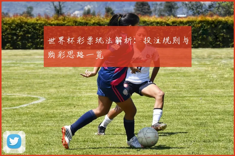 世界杯彩票玩法解析:投注规则与购彩思路一览