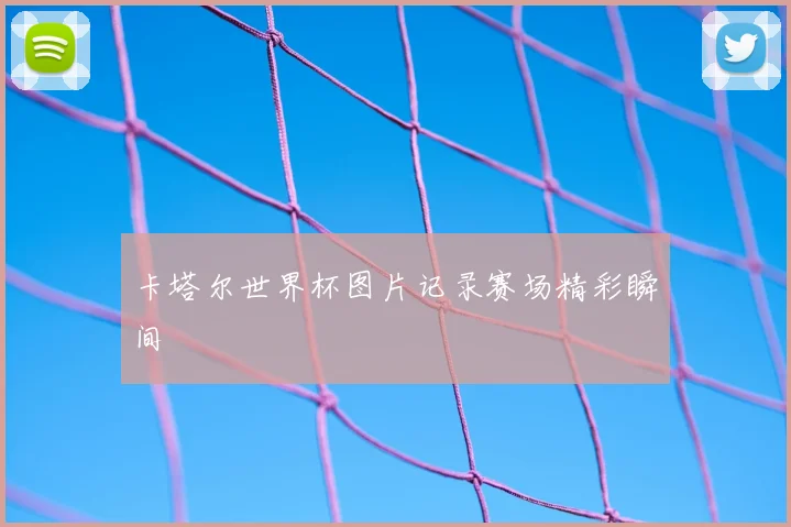 卡塔尔世界杯图片记录赛场精彩瞬间