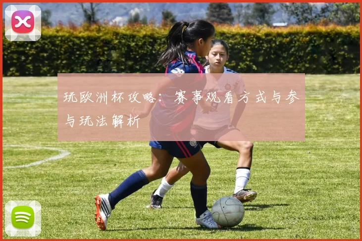玩欧洲杯攻略：赛事观看方式与参与玩法解析