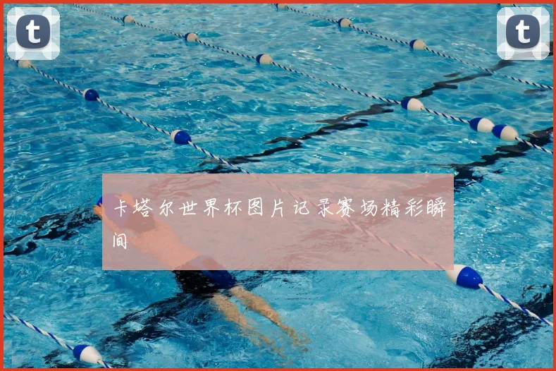 卡塔尔世界杯图片记录赛场精彩瞬间