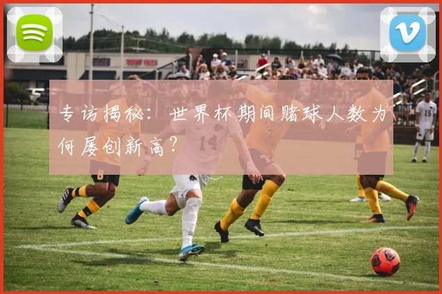 专访揭秘：世界杯期间赌球人数为何屡创新高？