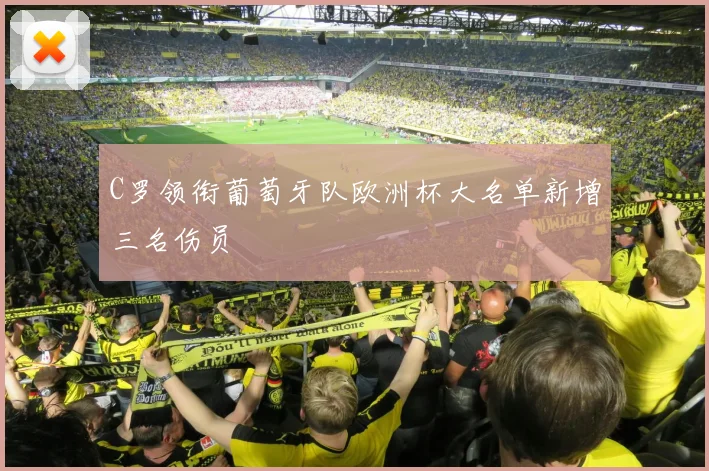 C罗领衔葡萄牙队欧洲杯大名单新增三名伤员